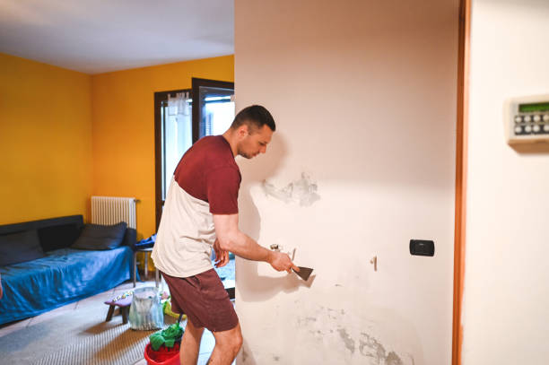 Best Black Mold Remediation in Coal Grove, OH